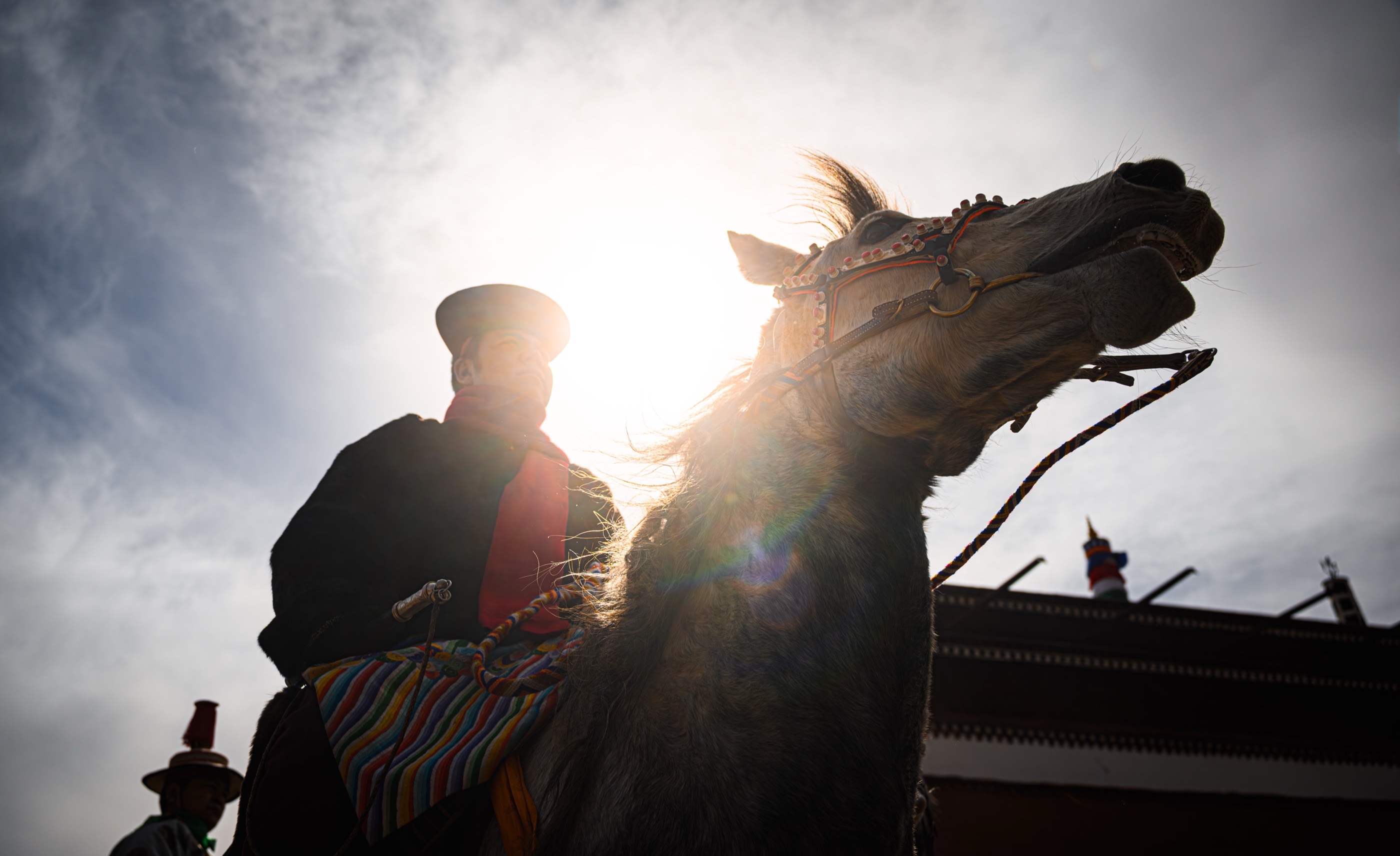 A rider and horse silhouetted against the sun
