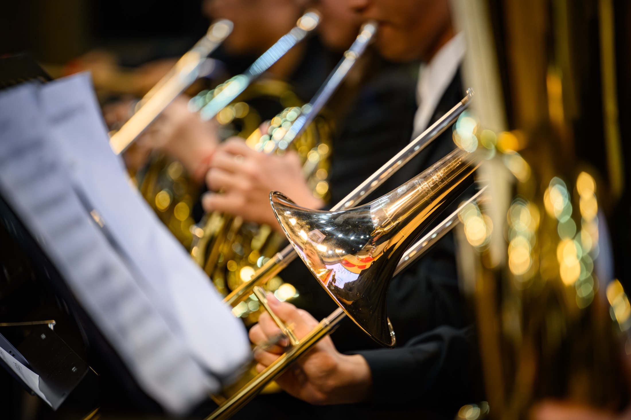 Orchestra, photograph 8 of 13